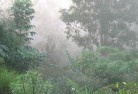 Glen Willslandscaping-irrigation-4.jpg; ?>